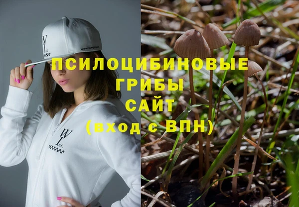 герыч Зеленодольск