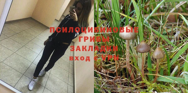 герыч Зеленодольск