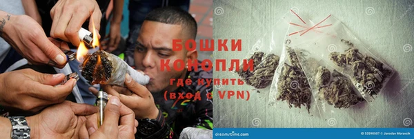 PSILOCYBIN Семёнов