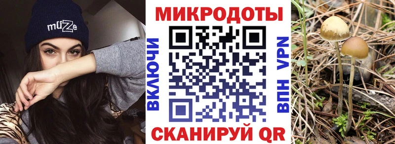 площадка состав блэк спрут маркетплейс Галлюциногенные грибы мицелий Можга закладки